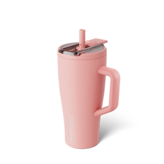 Era Flip 30oz | Guava - Home Refresh