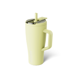 Era Flip 30oz | Prickly Pear - Daily Clean