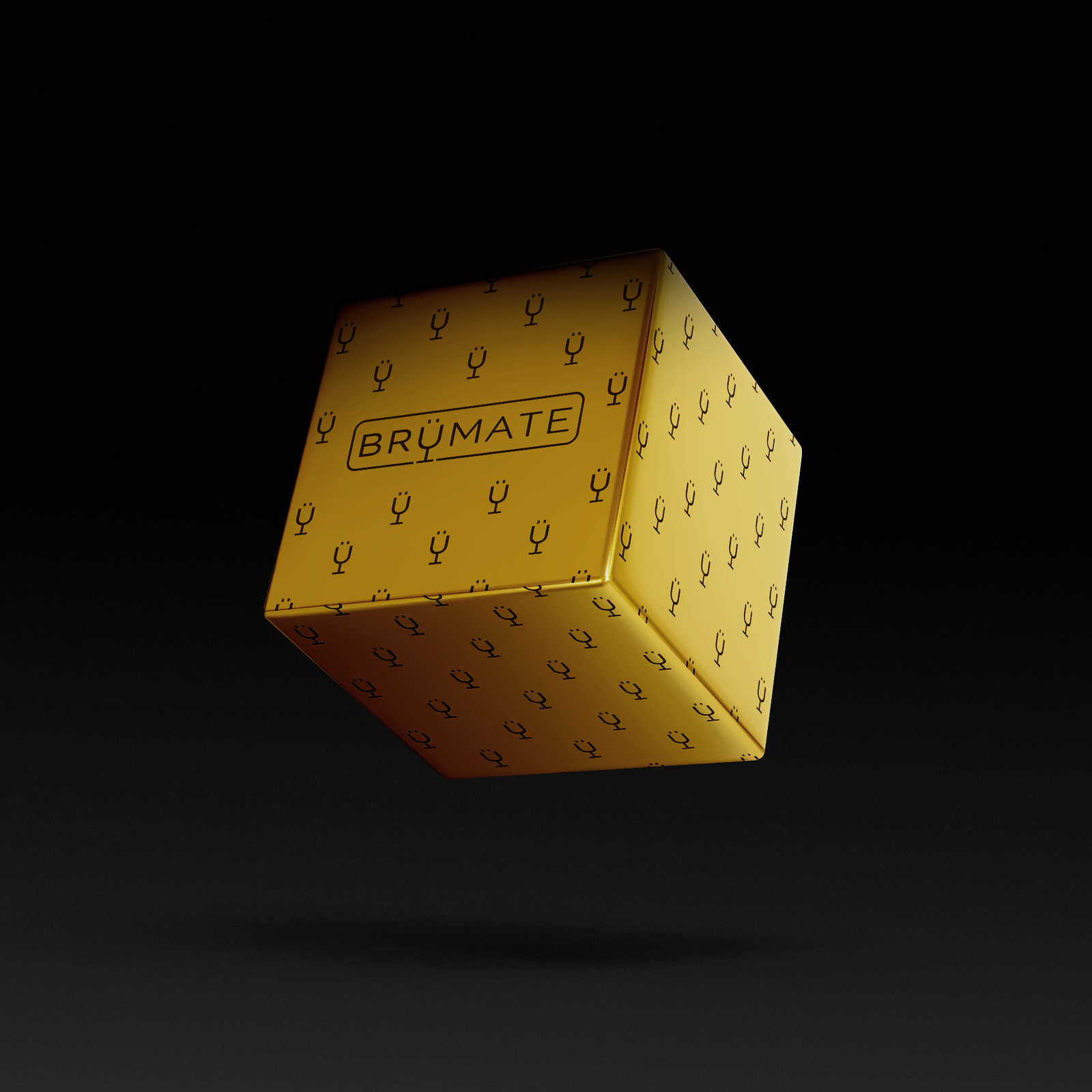Premium Mystery Item ($39-70 Value) - Modern Pick