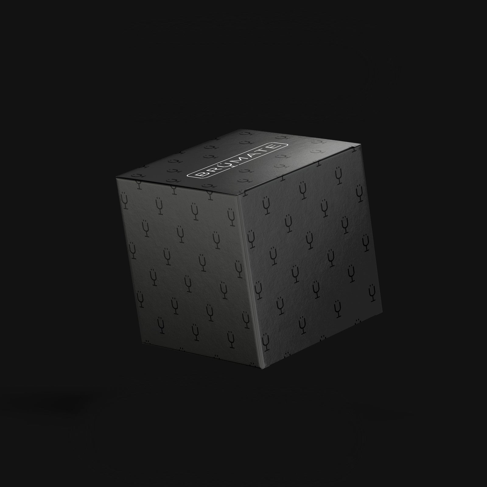 Mystery Item ($24-49 Value) - Modern Pick